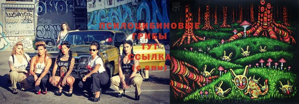 apvp Белокуриха