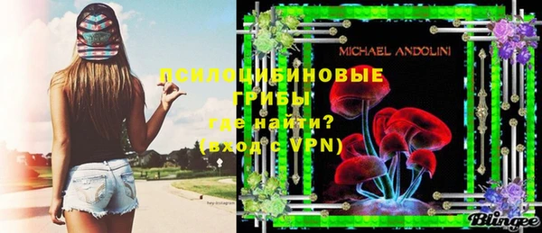 apvp Белокуриха
