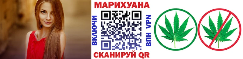 Каннабис индика Заполярный